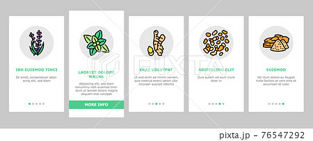 Aromatherapy Herbs Onboarding Icons Set Vector Aromatherapy Herbs Onboarding Icons Set Vector 76547292