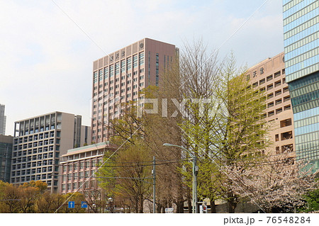 東京都文京区本郷にある順天堂大学とさくら 東京都文京区本郷にある順天堂大学とさくら 76548284