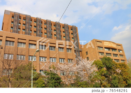 東京都文京区湯島にある東京医科歯科大学とさくら 東京都文京区湯島にある東京医科歯科大学とさくら 76548291