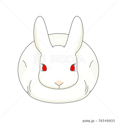 正面から見た白色のウサギのイラスト素材