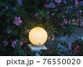Yellow round night lantern in flower bush on dark background. Beautiful spring nature decoration. Lamplight in floral branches horizontal wallpaper. Evening outdoor colorful backdrop 76550020