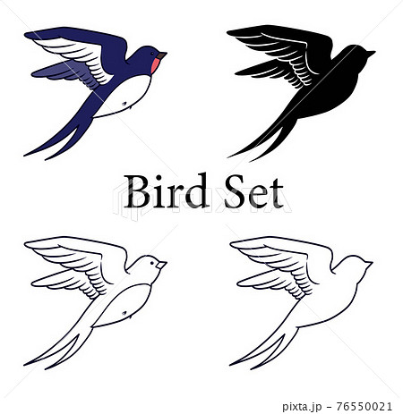 鳥のセット 鳥のセット 76550021