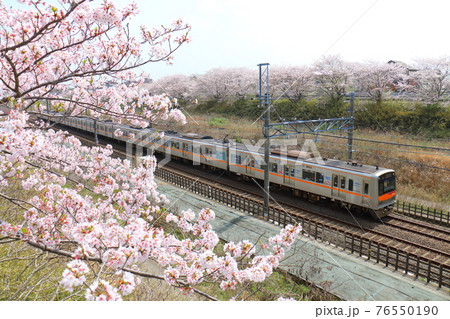 千葉県白井市付近北総線を通る京成電鉄3000形電車と満開のさくら 千葉県白井市付近北総線を通る京成電鉄3000形電車と満開のさくら 76550190