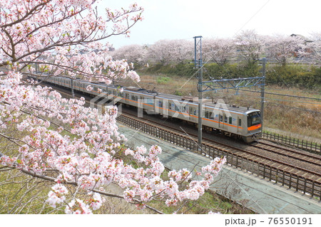 千葉県白井市付近北総線を通る京成電鉄3000形電車と満開のさくら 76550191