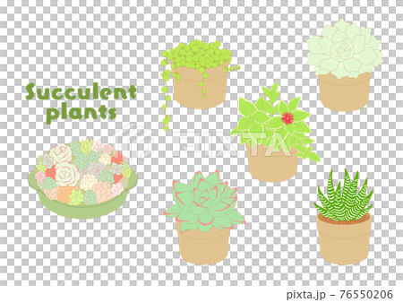 多肉植物のアイコンイラストセットのイラスト素材 多肉植物のアイコンイラストセットのイラスト素材