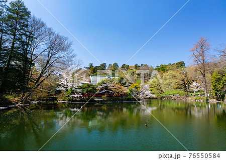 東京都 春の井の頭恩賜公園 井の頭弁財天 76550584