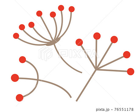 열매 벡터 일러스트 - 스톡일러스트 [76551178] - Pixta