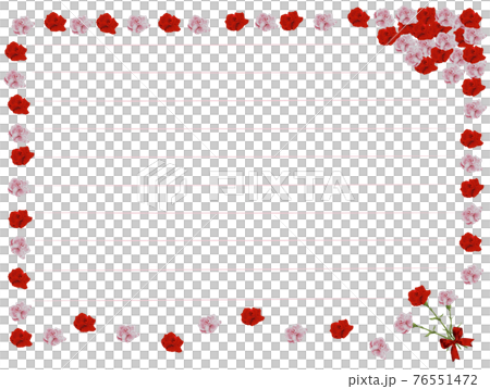 カーネーションの花の便箋　よこ書き 76551472
