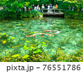 モネの池 76551786