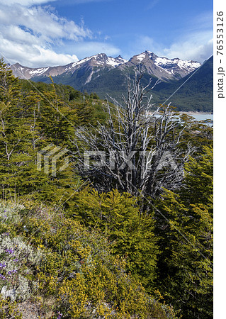 Los Glaciares National Park in Patagonia - Chile 76553126