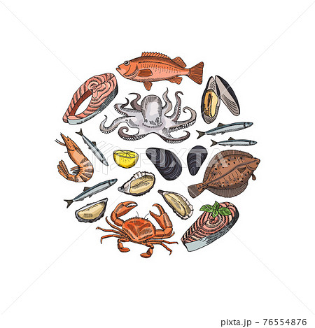 hand drawn seafood elements in form of circle illustration hand drawn seafood elements in form of circle illustration 76554876