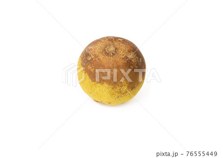 Rotten lime isolated on white background with clipping path Rotten lime isolated on white background with clipping path 76555449