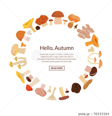 cartoon mushrooms in circle cartoon mushrooms in circle 76555564