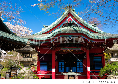 東京都 春の井の頭恩賜公園 井の頭弁財天 東京都 春の井の頭恩賜公園 井の頭弁財天 76556363