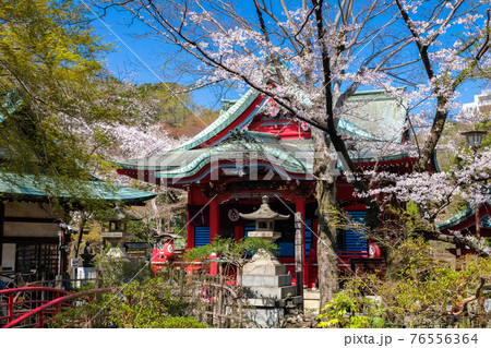 東京都 春の井の頭恩賜公園 井の頭弁財天 76556364