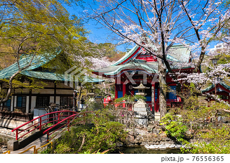 東京都 春の井の頭恩賜公園 井の頭弁財天 76556365