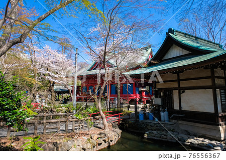 東京都 春の井の頭恩賜公園 井の頭弁財天 76556367