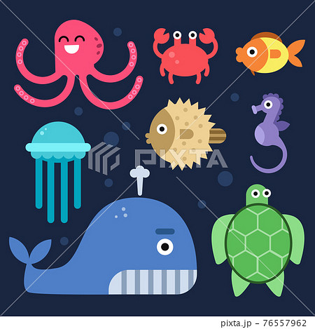 Sea life. Fishes and others underwater mammals Sea life. Fishes and others underwater mammals 76557962