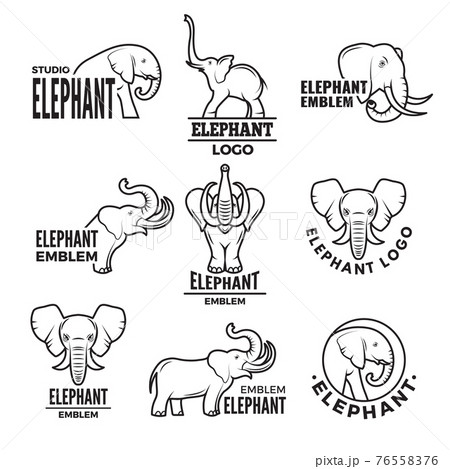 Mascot stylized elephant head., Stock vector