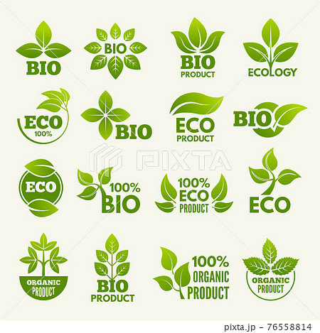 Organic eco logos and labels with illustrations of leaves Organic eco logos and labels with illustrations of leaves 76558814