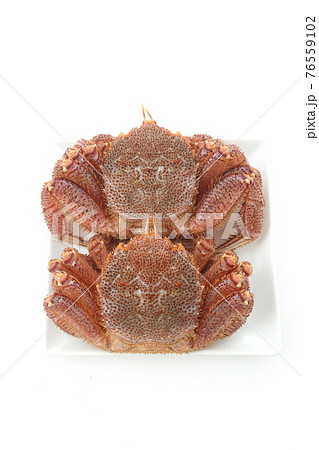 生きている毛ガニ食材俯瞰 76559102