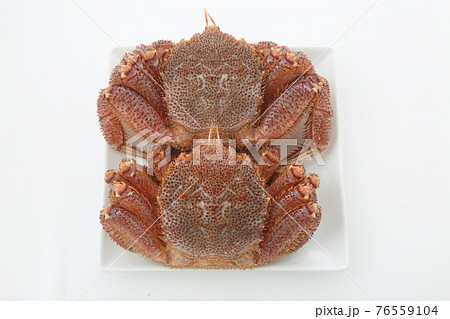生きている毛ガニ食材俯瞰 生きている毛ガニ食材俯瞰 76559104