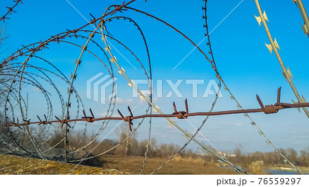 Coils of new barbed wire and strands of old rusty wire against the background of the blue sky Coils of new barbed wire and strands of old rusty wire against the background of the blue sky 76559297
