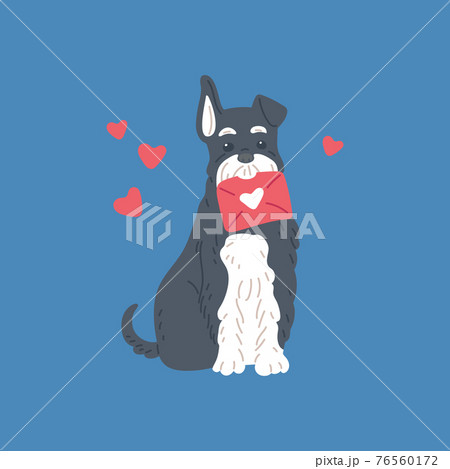 Dog holding envelope with love message, flat vector illustration isolated. Dog holding envelope with love message, flat vector illustration isolated. 76560172
