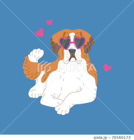 Saint bernard breed dog with glasses in shape heart a vector flat illustration 76560173