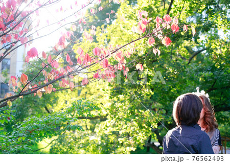 Young man and woman against bright trees. Sunny day, fresh greenery, ray of sunshine. Summer background. 76562493