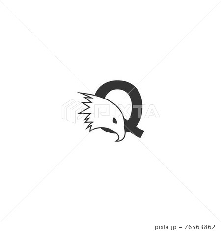 Letter Q logo icon with falcon head design symbol template Letter Q logo icon with falcon head design symbol template 76563862