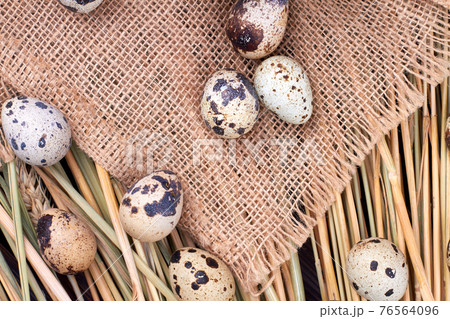 Quail eggs on burlap cloth and grass. Quail eggs on burlap cloth and grass. 76564096