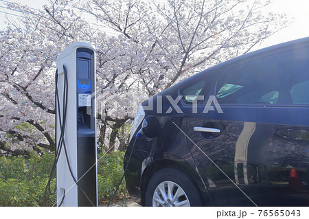 プラグインハイブリットの充電装置と桜 76565043