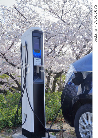 充電中のプラグインハイブリッド車とサクラ 76565075