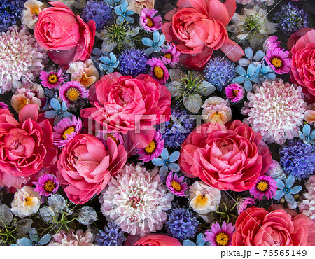 水に浮かぶニゲラ、ラナンキュラス、スカビオサ、ブルースター、ビオラのフラワーアレンジメント 76565149