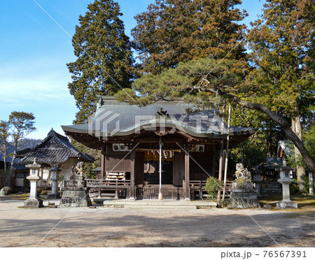 住吉神社の入母屋銅板葺きの屋根が鎮守の森に溶け込む 76567391