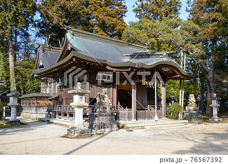 住吉神社の入母屋銅板葺きの屋根が鎮守の森に溶け込む 76567392