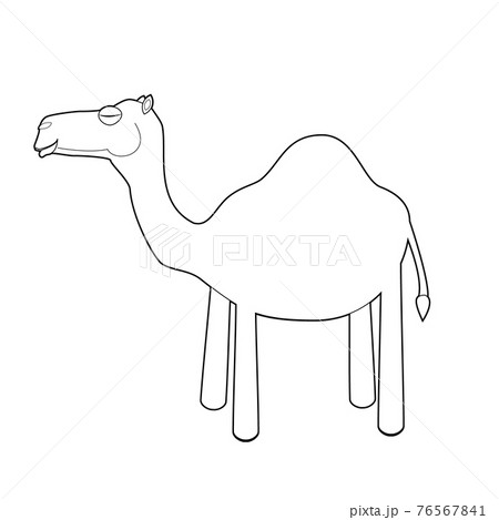 Camel Pulling Carriage across Wall Mural – Wallmonkeys