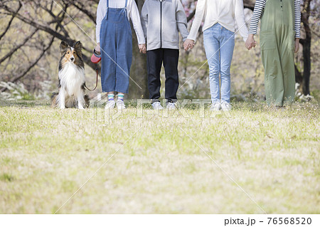 犬と一緒に手を繋いで野原に立つ子供達の写真素材