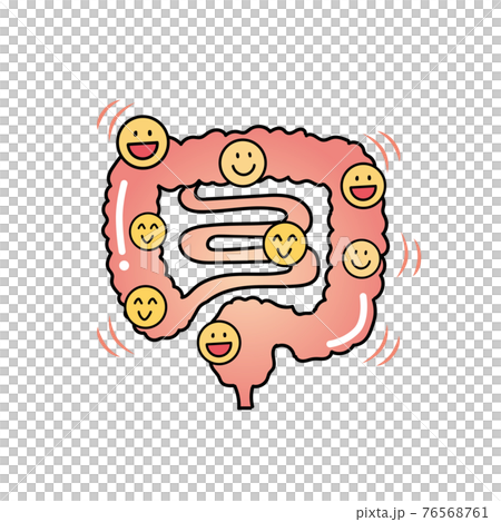 元気な腸のイメージイラスト 76568761