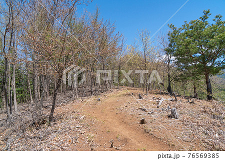 甲州高尾山から柏尾山への登山道 76569385