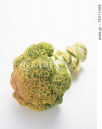 黄色に変色したブロッコリー  76571468