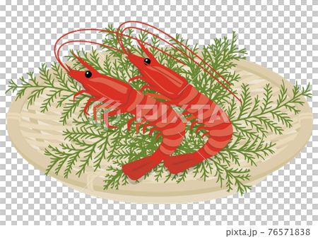 [Vector] Hand-drawn style shrimp illustration. Two fresh red shrimp arranged side-by-side on a bamboo tray, perfect for celebrations or sashimi, against a white background. 76571838
