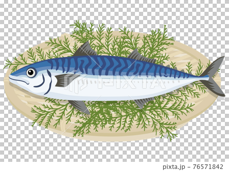 Mackerel in a colander (1) 76571842
