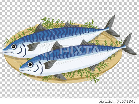 Mackerel in a colander (2) 76571843