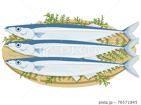 ザル盛りのサンマ(3匹) ザル盛りのサンマ(3匹) 76571845