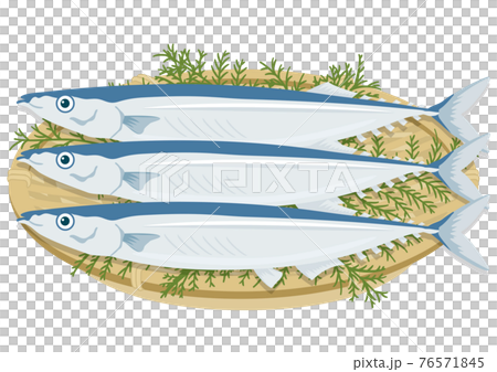 ザル盛りのサンマ(3匹) ザル盛りのサンマ(3匹) 76571845