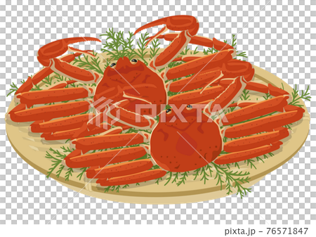 [Vector] Hand-drawn style snow crab illustration. Two fresh snow crabs side-by-side on a bamboo basket, perfect for winter gifts and year-end presents. 76571847