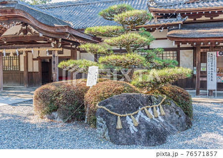 三河國一之宮砥鹿神社 76571857