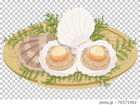 Scallops in a colander (3) 76571902